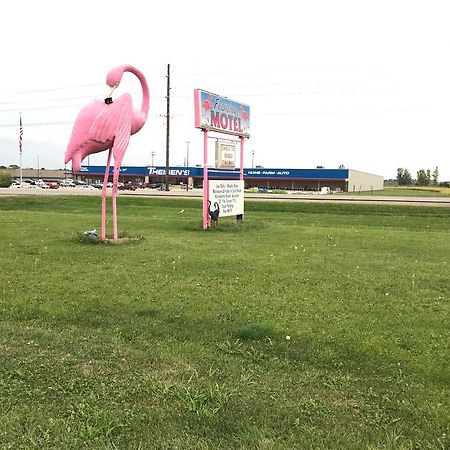 موتيل Marshalltown فلامنجو موتل المظهر الخارجي الصورة